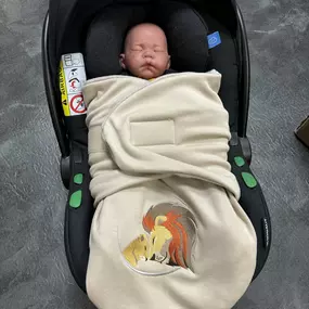 Bild von Löwenkidz - die Kindersitzprofis in Braunschweig
