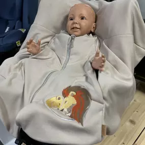 Bild von Löwenkidz - die Kindersitzprofis in Braunschweig