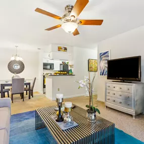 Open Living Area