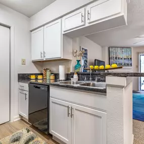 Renovated Kitchen