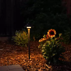 Bild von D & I Landscape