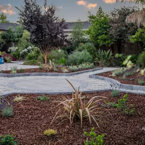 Saratoga Landscaping Project