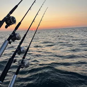 Bild von Colorblind Charters LLC