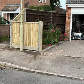 Bild von Romsey & Chandlers Ford Tree & Landscaping Services