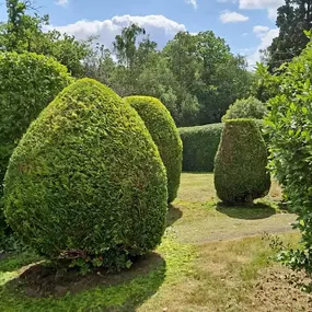 Bild von Romsey & Chandlers Ford Tree & Landscaping Services