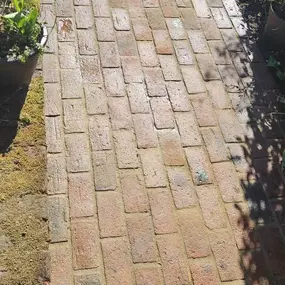 Bild von Romsey & Chandlers Ford Tree & Landscaping Services