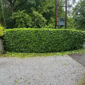 Bild von Romsey & Chandlers Ford Tree & Landscaping Services