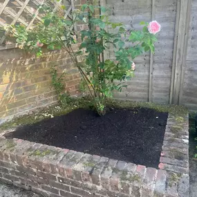 Bild von Romsey & Chandlers Ford Tree & Landscaping Services