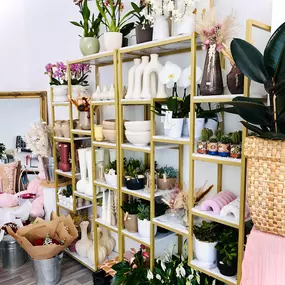 Decoartikel, Blumenvasen, Zimmerpflanzen bei Na'Bloom