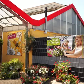 Bild von Pflanzencenter Dill