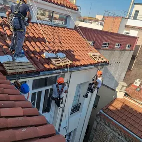 imagen4.jpg