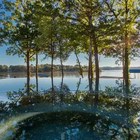 Bild von Basin Pool Designs