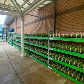 Bild von B&M Home Store with Garden Centre