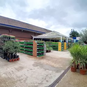 Bild von B&M Home Store with Garden Centre