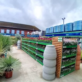 Bild von B&M Home Store with Garden Centre