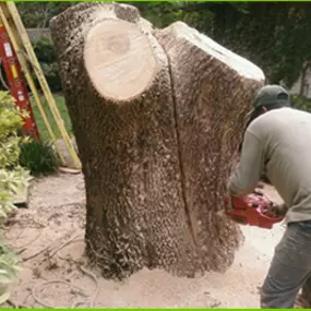 Francisco's Diaz Landscaping & Tree Service