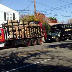 Francisco's Diaz Landscaping & Tree Service