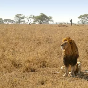 Bild von WIGWAM Naturreisen und Expeditionen GmbH