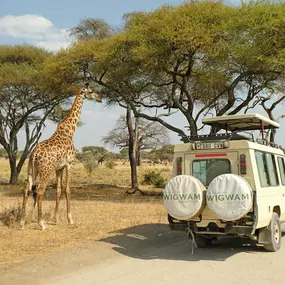 Bild von WIGWAM Naturreisen und Expeditionen GmbH