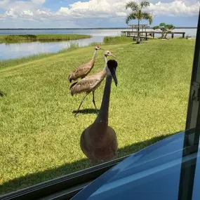 Bild von Butch's Hideaway RV Park