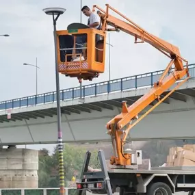 Bild von Bee-Lectric
