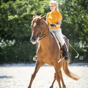 Bild von Gunnar Wiedner