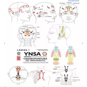 305071219-1-0rr5nWNze61749732889682_800x0.png