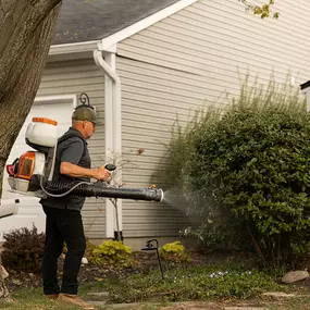 Bild von Mosquito Masters Indy