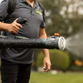 Bild von Mosquito Masters Indy