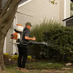 Bild von Mosquito Masters Indy