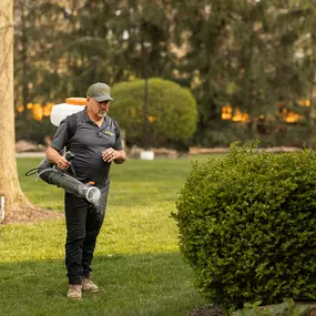 Bild von Mosquito Masters Indy