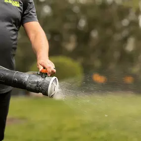 Bild von Mosquito Masters Indy