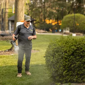 Bild von Mosquito Masters Indy