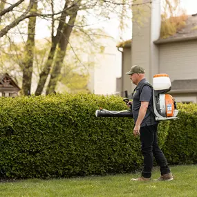 Bild von Mosquito Masters Indy