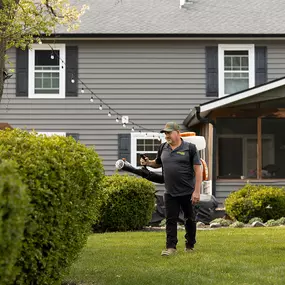 Bild von Mosquito Masters Indy