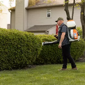 Bild von Mosquito Masters Indy