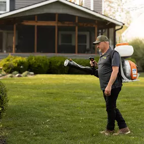 Bild von Mosquito Masters Indy