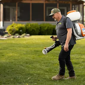 Bild von Mosquito Masters Indy