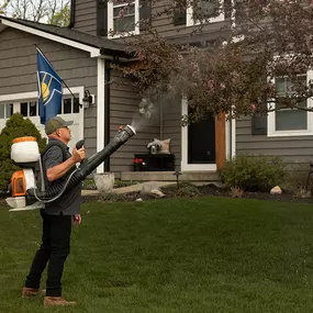 Bild von Mosquito Masters Indy