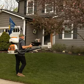 Bild von Mosquito Masters Indy