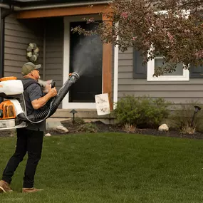 Bild von Mosquito Masters Indy