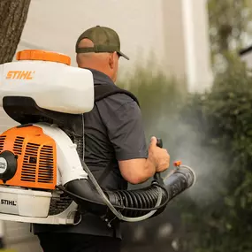 Bild von Mosquito Masters Indy