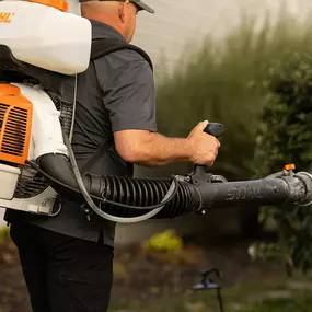 Bild von Mosquito Masters Indy