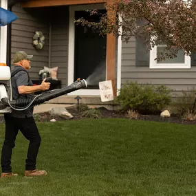 Bild von Mosquito Masters Indy