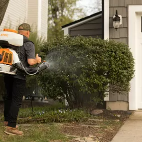 Bild von Mosquito Masters Indy