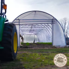 Organic food is growing in Farm On Central's hoop house.