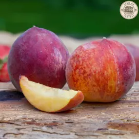 Delicious Georgia peaches are sold by Farm On Central.