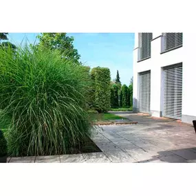 Bild von EICKHOFF GARTEN- UND LANDSCHAFTSBAU Alexander Eickhoff Ingenieur im Landschaftsbau, Bachelor of Engineering (B.Eng.)