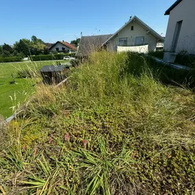 Bild von DSM Bau GmbH