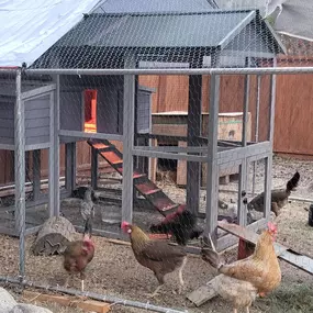 Bild von The Idaho Handyman